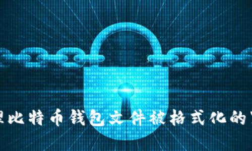 如何处理比特币钱包文件被格式化的紧急情况