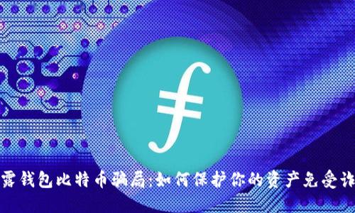 揭露钱包比特币骗局:如何保护你的资产免受诈骗