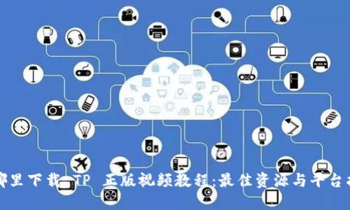 在哪里下载 TP 正版视频教程：最佳资源与平台指南