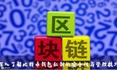  深入了解比特币钱包私钥的安全性与