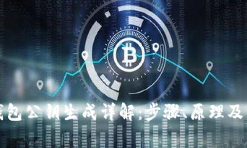 比特币钱包公钥生成详解:步骤、原理及注意事项