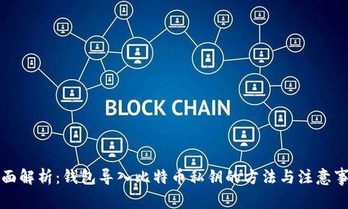 全面解析:钱包导入比特币私钥的方法与注意事项