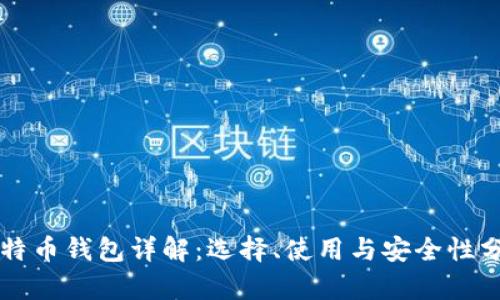 比特币钱包详解:选择、使用与安全性分析