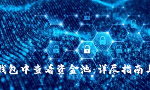 如何在TP钱包中查看资金池：详尽指南与注意事项