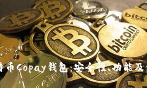 详解比特币Copay钱包：安全性、功能及使用指南