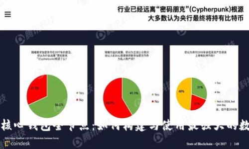 深入解析比特币核心钱包全节点：如何构建与使用最强大的数字货币管理工具