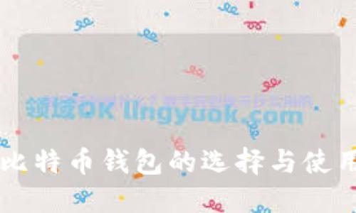 中国比特币钱包的选择与使用指南