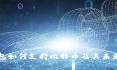 Steam钱包如何支持比特币及其未来发展趋势