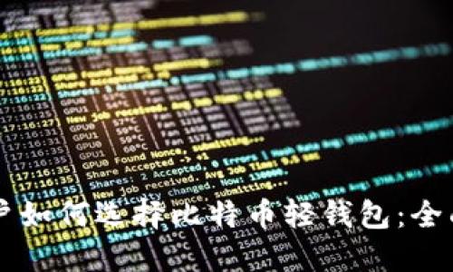 苹果手机用户如何选择比特币轻钱包：全面指南与推荐