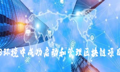 如何在Web3环境中成功启动和管理区块链项目的完全指南