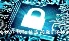 如何报警处理TP钱包被盗问题？详细指南与建议
