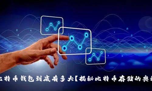 比特币钱包到底有多大？揭秘比特币存储的奥秘