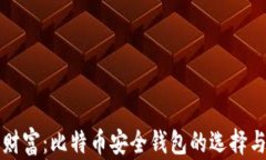 保护你的财富：比特币安全钱包的选择与使用指