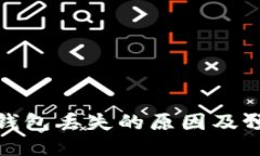 比特币钱包丢失的原因及预防措施
