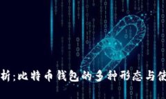 全面解析：比特币钱包的多种形态与使用指南