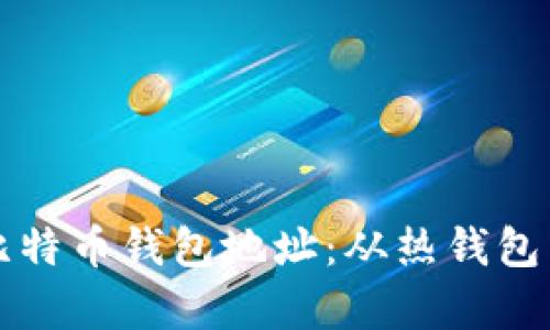 如何选择适合你的比特币钱包地址：从热钱包到冷钱包的全面解析