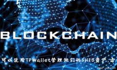 是的，可以提到TPWallet与SHIB的相关性。TPWallet是一