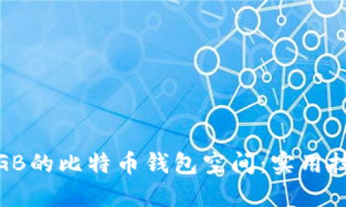 如何管理153GB的比特币钱包空间：实用技巧与最佳实践