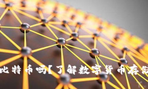 VO钱包能存比特币吗？了解数字货币存储的最佳选择