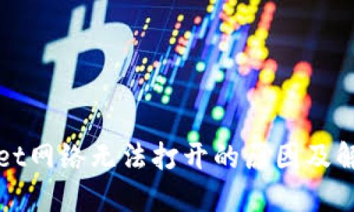 TPWallet网络无法打开的原因及解决方案