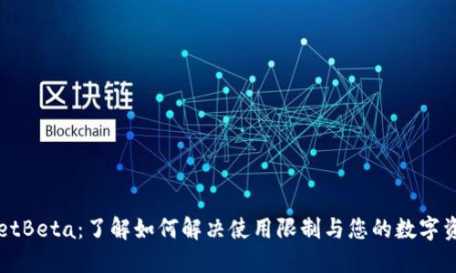 TPWalletBeta：了解如何解决使用限制与您的数字资产管理