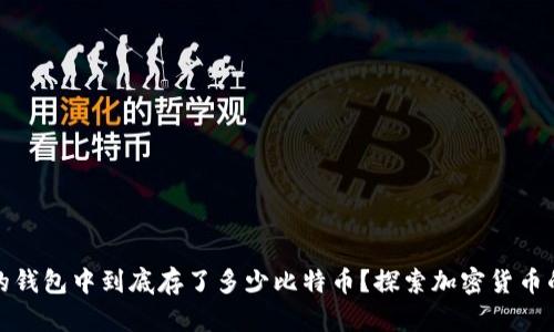 库神的钱包中到底存了多少比特币？探索加密货币的奥秘