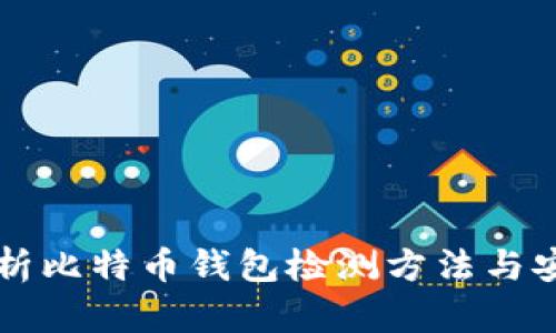 全面解析比特币钱包检测方法与安全对策