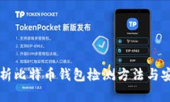 全面解析比特币钱包检测方法与安全对策