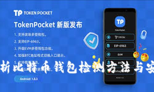 全面解析比特币钱包检测方法与安全对策