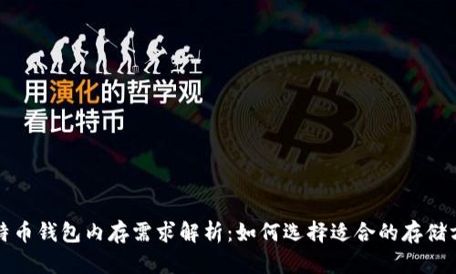 比特币钱包内存需求解析：如何选择适合的存储方案