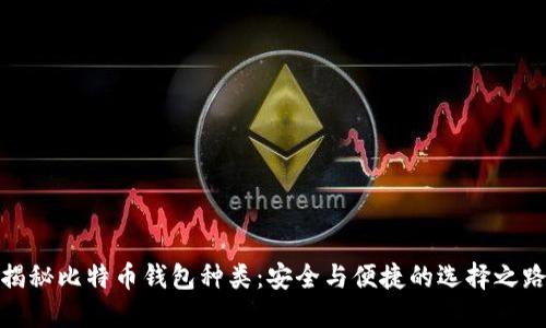揭秘比特币钱包种类：安全与便捷的选择之路