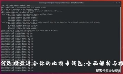 如何选择最适合你的比特币钱包：全面解析与推荐