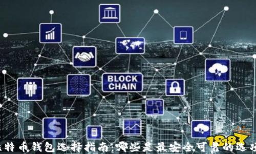 
比特币钱包选择指南：哪些是最安全可靠的选项？