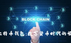 2015年比特币钱包：数字货币时代的崛起与变革