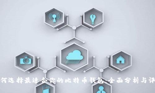 如何选择最适合你的比特币钱包：全面分析与评测