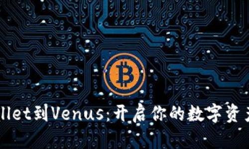 从TPWallet到Venus：开启你的数字资产新篇章