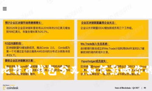 深入探讨比特币钱包分叉：如何影响你的投资决策