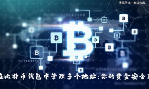 如何在比特币钱包中管理多个地址：你的资金安全新策略