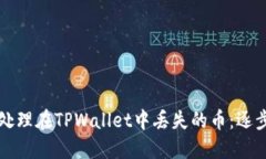 如何处理在TPWallet中丢失的币：逐步指