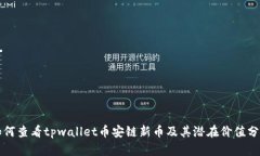 如何查看tpwallet币安链新币及其潜在价值分析