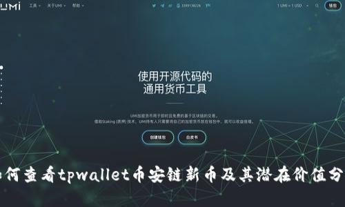 如何查看tpwallet币安链新币及其潜在价值分析