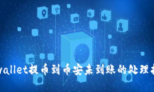 tpwallet提币到币安未到账的处理指南