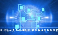 TP子钱包恢复与找回教程：轻松找回您的数字资产