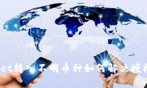 tpwallet转入不明币种如何解决授权问题？