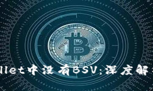 为什么TPWallet中没有BSV：深度解析与用户指南