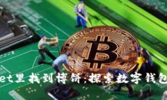 怎样在tpwallet里找到博饼：探索数字钱包的乐趣与