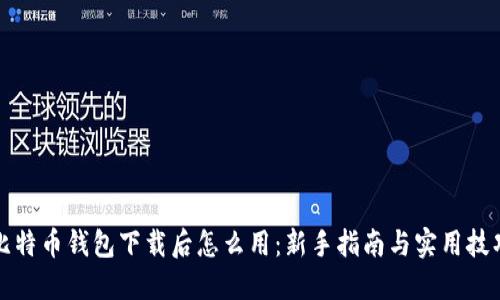 比特币钱包下载后怎么用：新手指南与实用技巧
