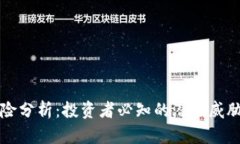 TPWallet风险分析：投资者必知的潜在威