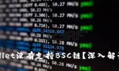 为什么tpwallet没有支持BSC链？深入解读