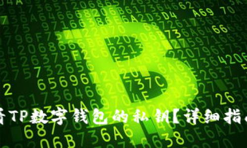 如何查看TP数字钱包的私钥？详细指南与技巧